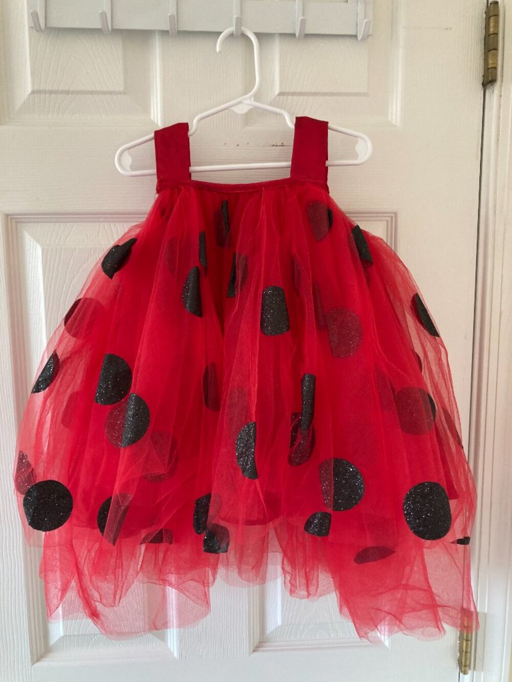 Pottery Barn Kids Ladybug Tutu Costume 12-24M